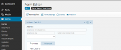 Gravity Forms HTML5 Placeholders screenshot 4