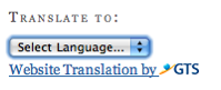 GTS Translation Plugin screenshot 1