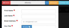 GuiForm screenshot 2
