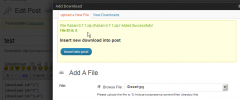 Hacklog DownloadManager screenshot 2
