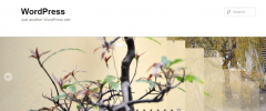 Header Image Slider screenshot 1