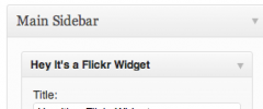 Hey It's a Flickr Widget screenshot 1