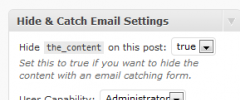 Hide and Catch Email screenshot 3