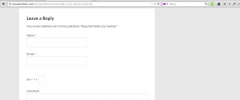 Hide-n-Disable-comment-url-field screenshot 1