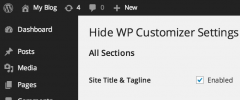 Hide WP Customizer Options screenshot 1