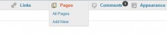 Horizontal Admin Menu screenshot 3
