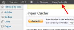 Hyper Cache Clear Link screenshot 1