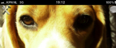 Windows Desktop and iPhone Photo Uploader screenshot 4