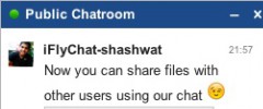 iFlyChat - WordPress Chat screenshot 10