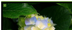 Image Gallery Reloaded screenshot 2