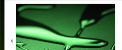 Image Gallery and comments screenshot 1