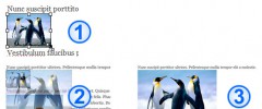 Image Pro - Image resizing and media management done right screenshot 4