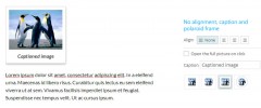 Image Pro - Image resizing and media management done right screenshot 5