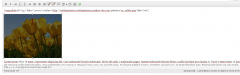 Image Resize for Chrome and Safari screenshot 1