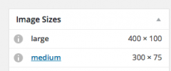 Image Sizes Panel screenshot 1