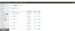 WordPress Thumbnail Slider screenshot 2