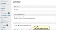 WordPress Thumbnail Slider screenshot 5