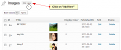 WordPress Thumbnail Slider screenshot 7