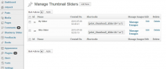 WordPress Thumbnail Slider screenshot 8