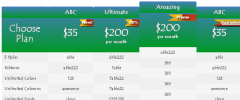IND Pricing Table screenshot 5