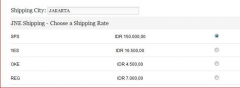 JNE Indo Shipping screenshot 1