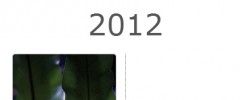 Infinite Timeline screenshot 2