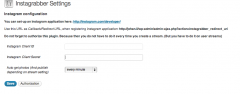 Wordpress Instagrabber screenshot 2