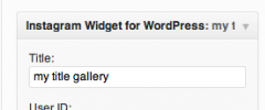 Instagram-Widget-for-WordPress screenshot 2