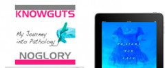 iPad-Widget screenshot 2