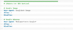 iRobots.txt SEO screenshot 2