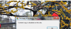 jcwp copy paste blocker screenshot 2
