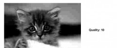 JPG Image Quality screenshot 1