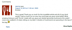 jQuery Comment Replies screenshot 1