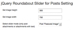 jQuery Roundabout for Posts screenshot 1