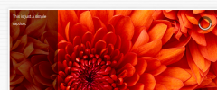 jQuery Slider screenshot 1