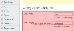 jQuery Slider Carsousel screenshot 3