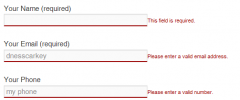 Jquery Validation For Contact Form 7 screenshot 1