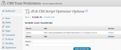 JS & CSS Script Optimizer screenshot 2