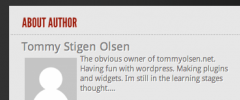 Just Another Author Information Widget screenshot 1