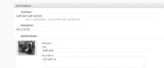 Just Custom Fields screenshot 2