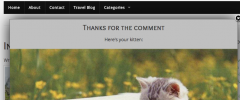Kittens for Comments screenshot 2