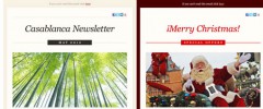 Knews Multilingual Newsletters screenshot 8
