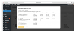 Kraken Image Optimizer screenshot 3