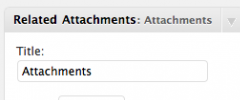 List Related Attachments screenshot 1