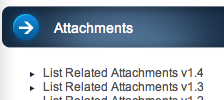 List Related Attachments screenshot 2