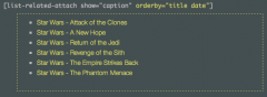 List Related Attachments screenshot 3