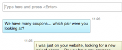 Lively Chat Support screenshot 2