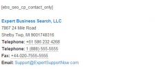 Local Search SEO Contact Page screenshot 2