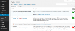 Lock Your Updates Plugins/Themes Manager screenshot 1