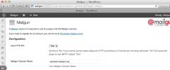 Mailgun for WordPress screenshot 1